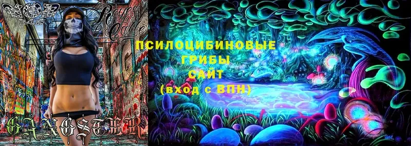 Галлюциногенные грибы Psilocybine cubensis  Курильск 