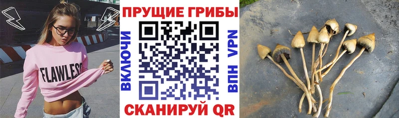 Галлюциногенные грибы ЛСД мега tor Курильск